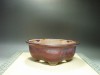 Genuine Japanese Bonsai pot  