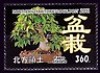  Northern Territories Local Post Japan Bonsai Fagus 