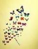  42 Butterfly Home Wall Decor Decal Sticker 