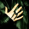  New Punk Rock Cool Metal Mirrored Long Spike Rivet Finger Ring Black Sz 7 Free 