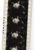  Vintage Keystone Moviegraph Film A Wild Dash Western Silent Movie 