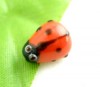  20pcs Ladybug Glass Lampwork Spacers Beads 15x10mm 