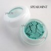  Eye Shadow Powder Makeup Pigment Mineral Eyeshadow Spearmint B055 