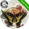  Andorra 2013 5D Papallones Exotiques 3D Papilio Machaon COA 