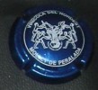  Placa CAVA Vinicola Del Nordest Azul Escasa 