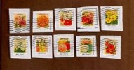  US Vintage Seed Packets Set of 10 Forever 46C Used on Paper 