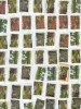  2013 Latest Australian 60C Botanic Gardens Self adh x 50 Postally Used 