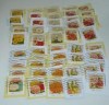  50 Vintage Seed Packets Forever Stamps Used on Paper 5 Sets of 10 