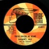  Texas Garage R B 45 Sammy Jay You're Driving Me Insane Tribe MP3 VG 