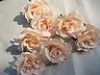  6X Champa Rose Artificial Silk Flower Heads Wedding Wholesale 4" 10cm SF5 