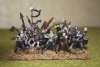  Pro Painted Vlad Von Carstein Vampire COUNTS 20 Skeleton Warrior Unit 